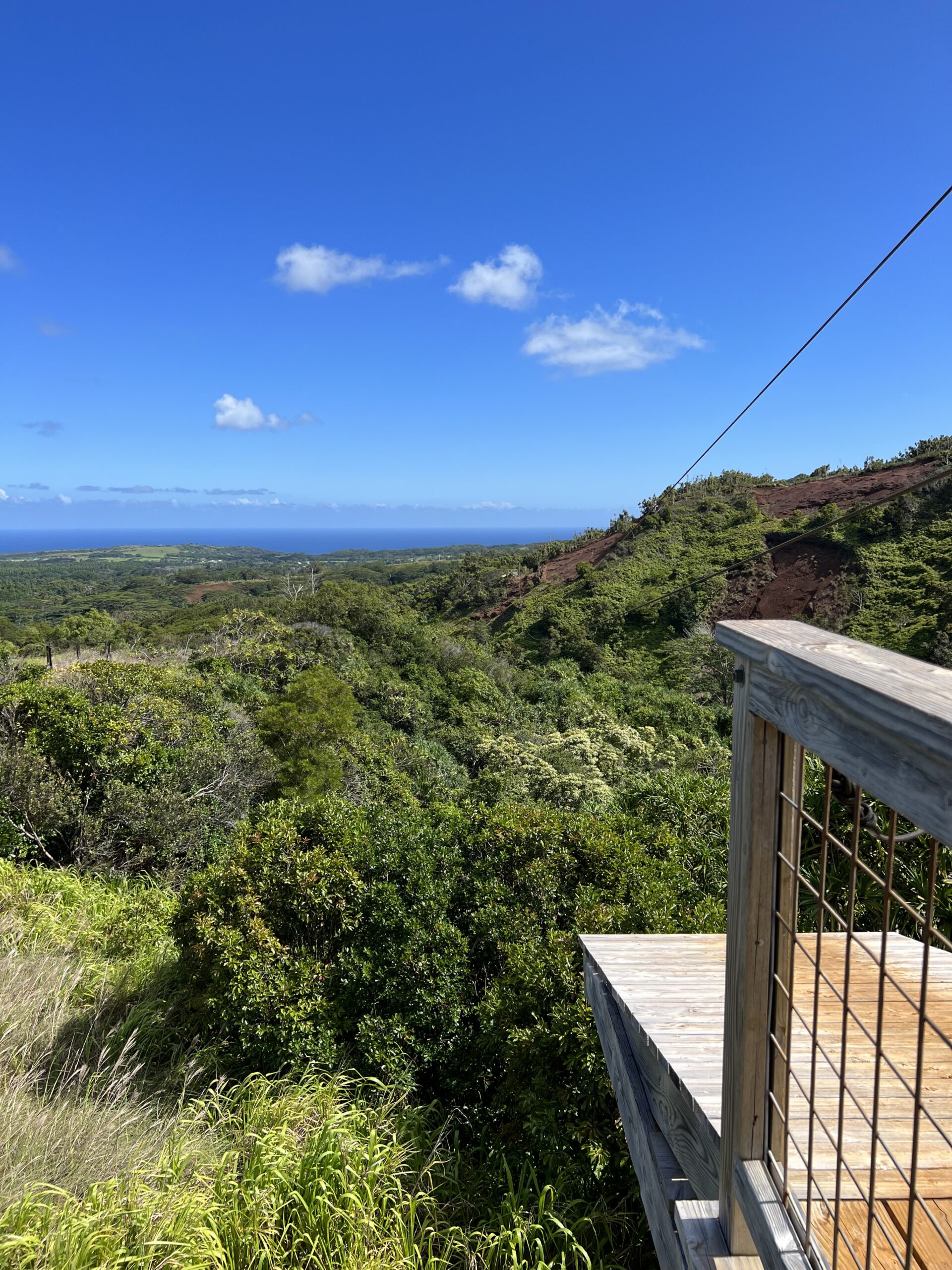 Kauai Zipline Tours 5 Line Adventure | Shaka Zipline