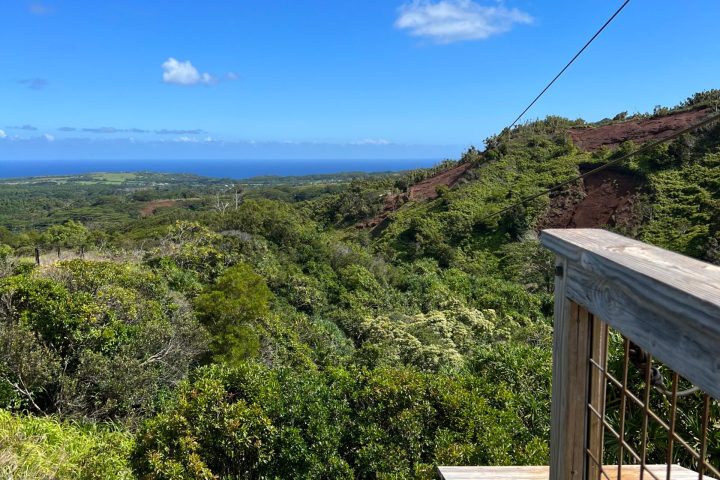a person standing on top of a wooden fence