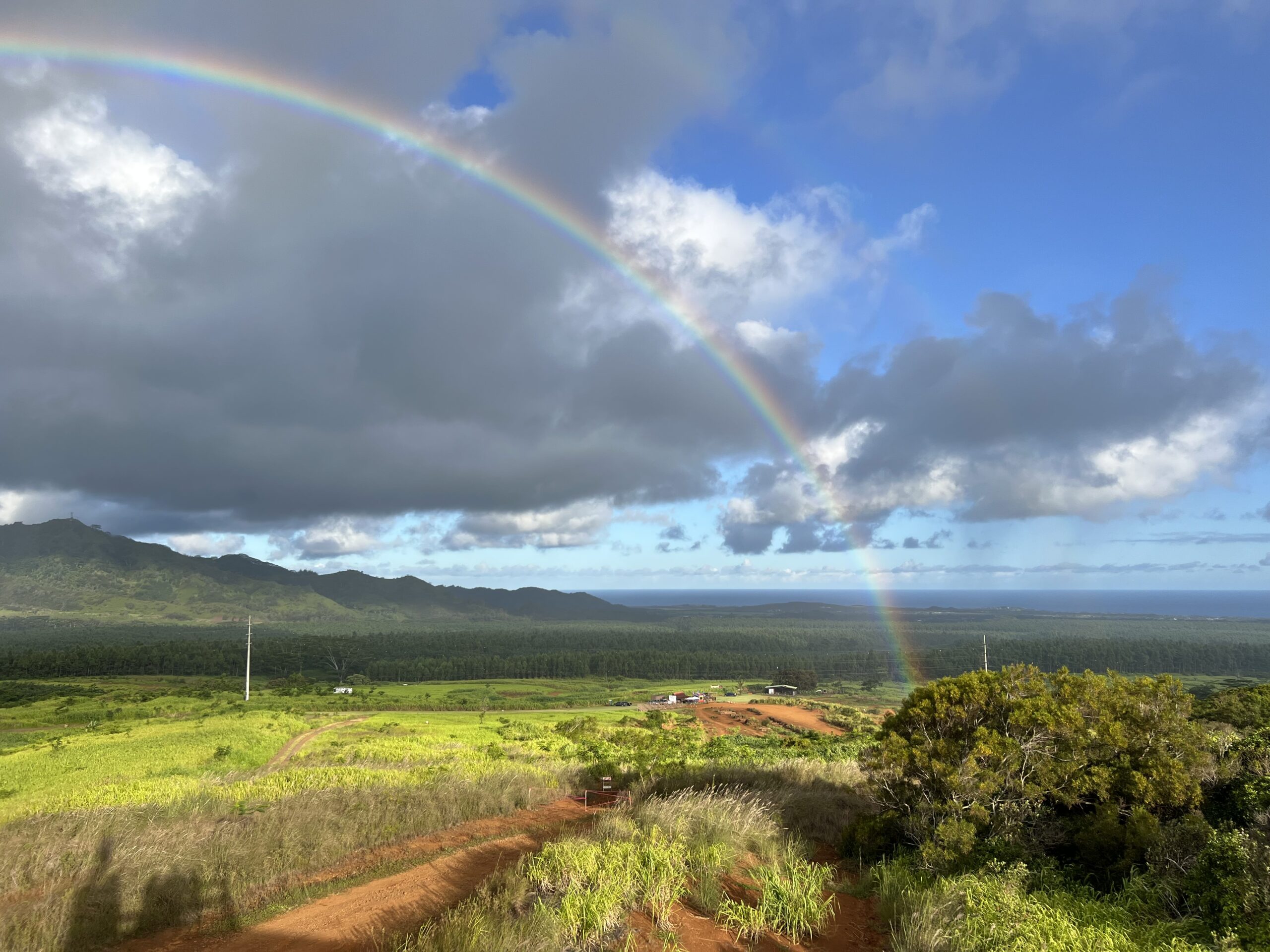 Kauai Hawaii Zipline 8 Lines Rainforest Tour | Shaka Zipline