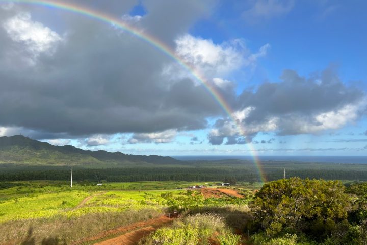 a rainbow over a field